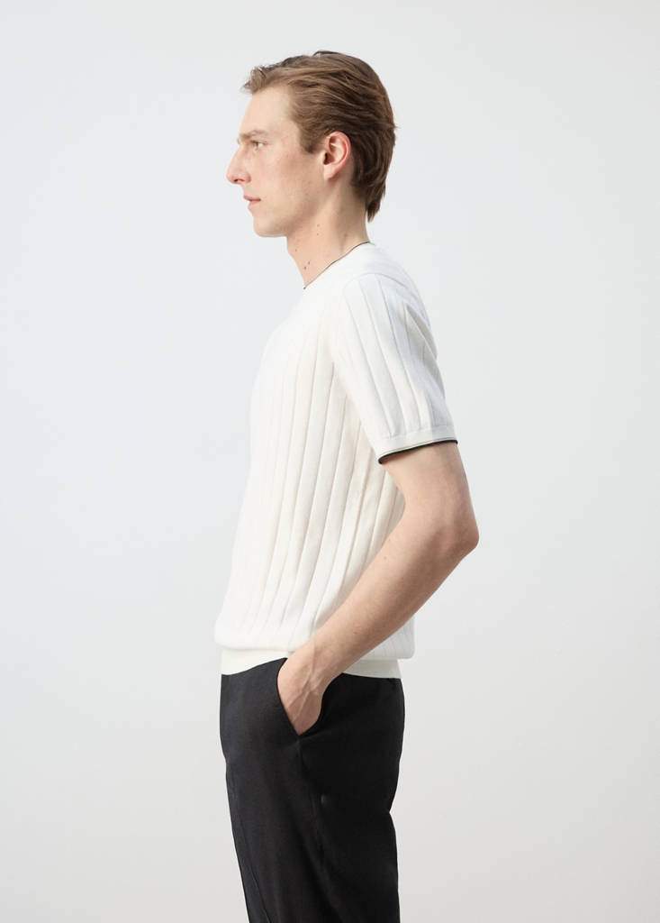 Fine jersey 100% cotton T-shirt — Product image 6 of 18