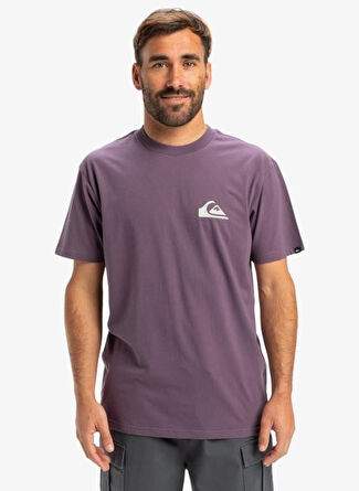 Quiksilver Mor Ev Mn Logo Ss Erkek T Shrt Eqyzt08042 — Product image 4 of 20
