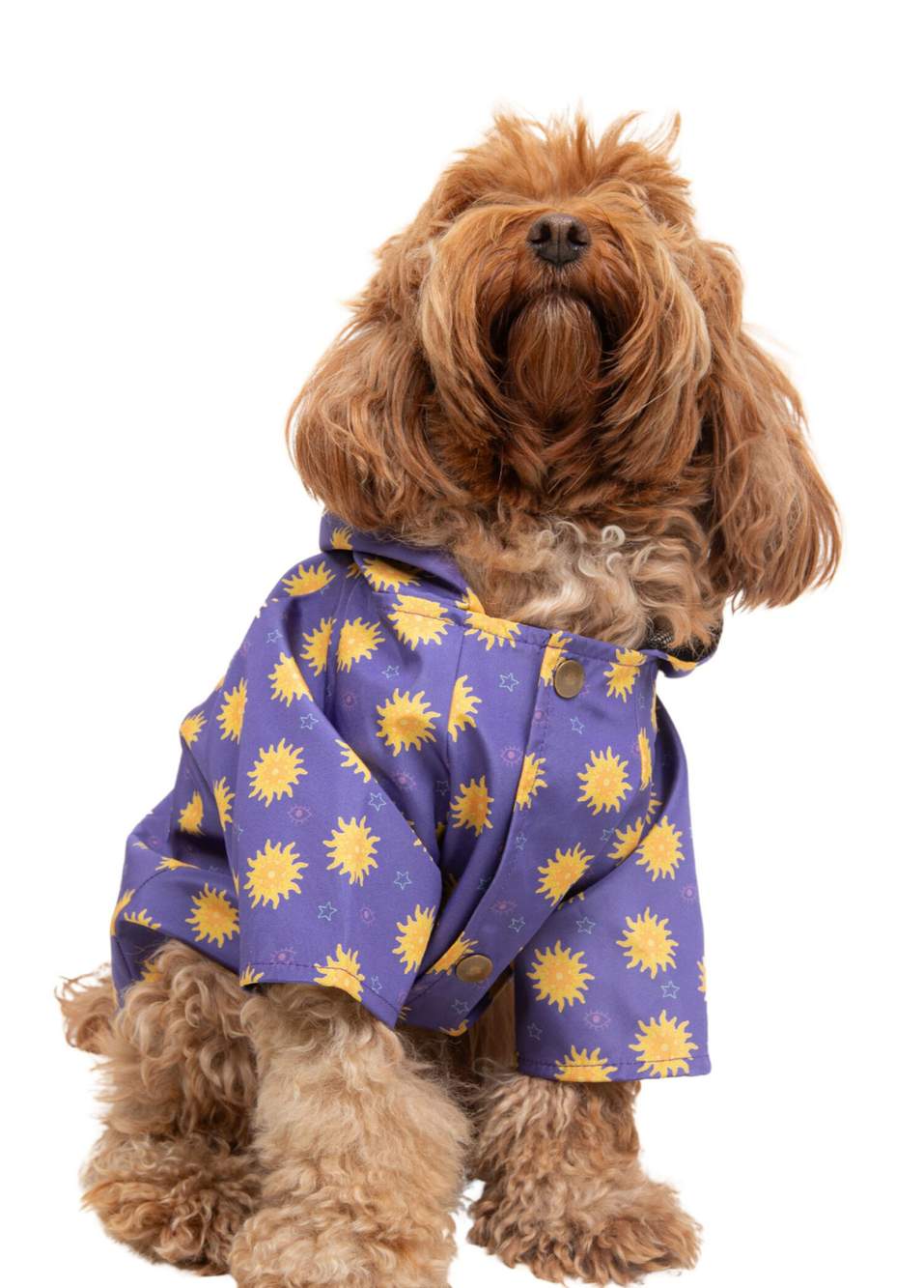 Lucky Charm Mor Küçük Irk Köpek Yağmurluk — Product image 3 of 5