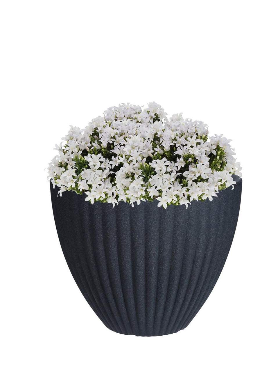 Lotus Antrasit Plastik Saksı 39 x 35 cm — Product image 4 of 4