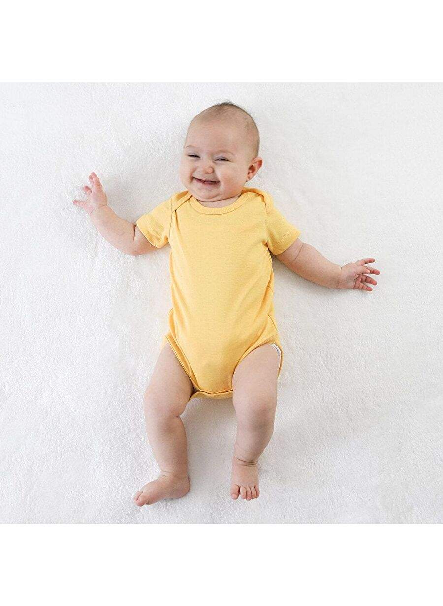 Owli Baby Body 3 مجموعة الطيور المبكرة — صورة المنتج 5 من 6