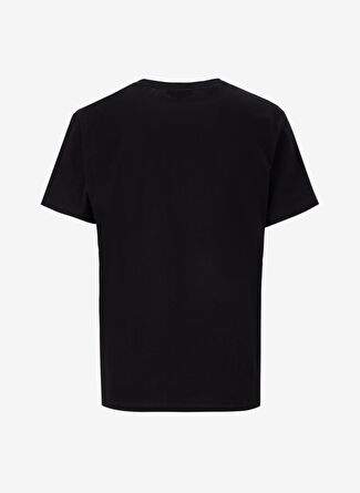 Limon Siyah Kadın Loose Fit Baskılı T-Shirt L5SL-TST5810 — صورة المنتج 33 من 35