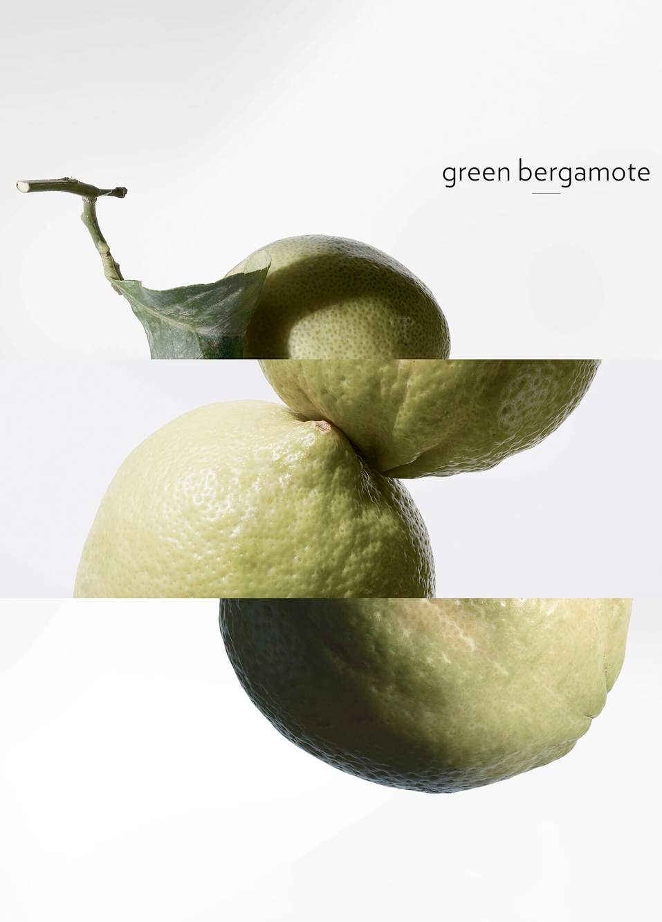 Eau De Basilic Pourpre Edc 100 ml — Product image 6 of 8