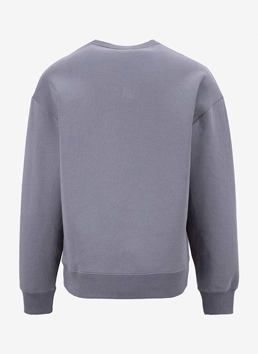 Hugo Grey Male Relaxed Sweatshirt 50533689 Dettil 10267272 01 — Product image 7 of 7