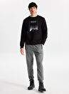Discovery Expedition D3WM-EA7 Anthracite Male Sweatpant — Product image 3 of 25
