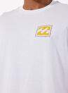 Billabong Crayon Wave Ss Ebyzt00292 White Male Regular Fit T Shirt — Product image 17 of 35