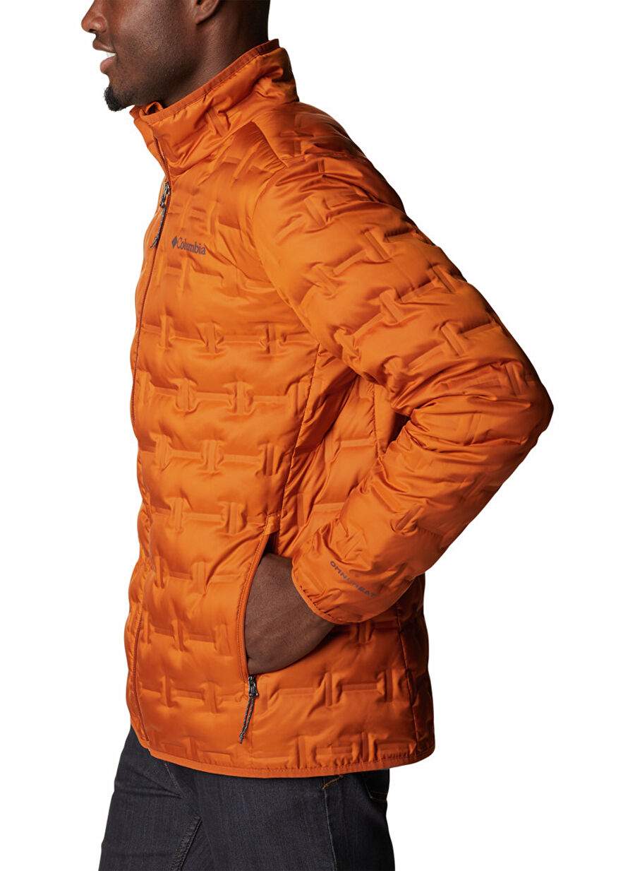 Columbia Çok Renkli Erkek Dik Yaka Çizgili Mont WO0955 DELTA RIDGE DOWN JACKET — صورة المنتج 3 من 7