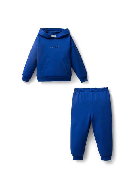 Little Prince Patterned Saks Blue Hooded Cotton Boy Children's Sweatshirt Team