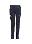 adidas Lacivert Erkek Çocuk Uzun Eşofman Altı HT8801 REAL TR PNT Y — Product image 18 of 30