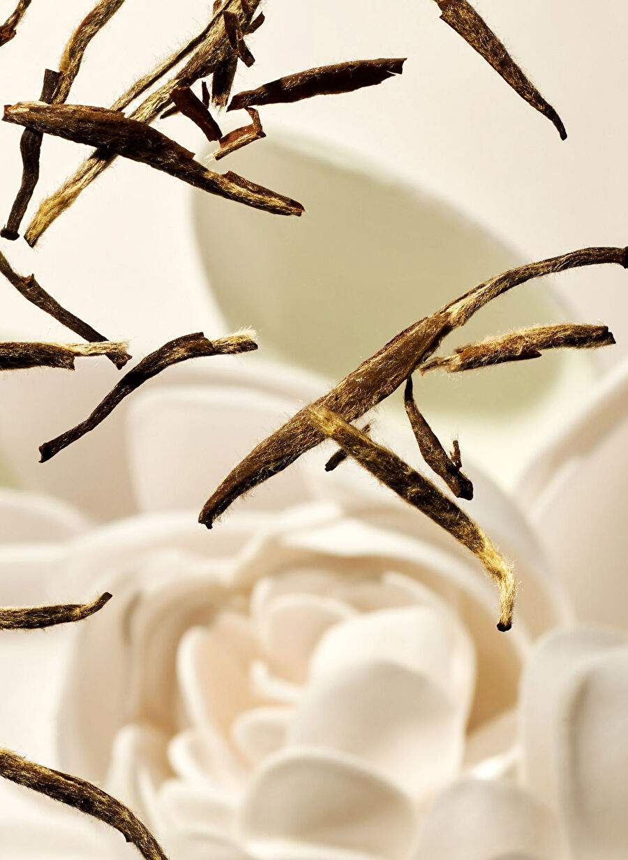The Ritual Of Karma Foamy Refill For Body Cream 220 ml — Product image 3 of 5