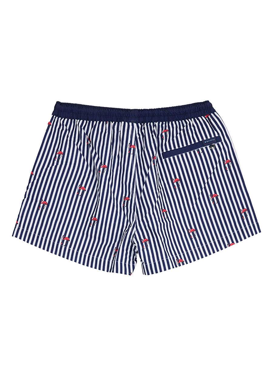 Whitefin Women Slim Fit Shorts 1036 — Product image 9 of 10