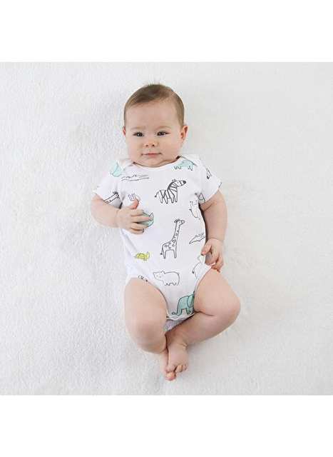 Owli Baby Body 3 مجموعة حديقة حيوان