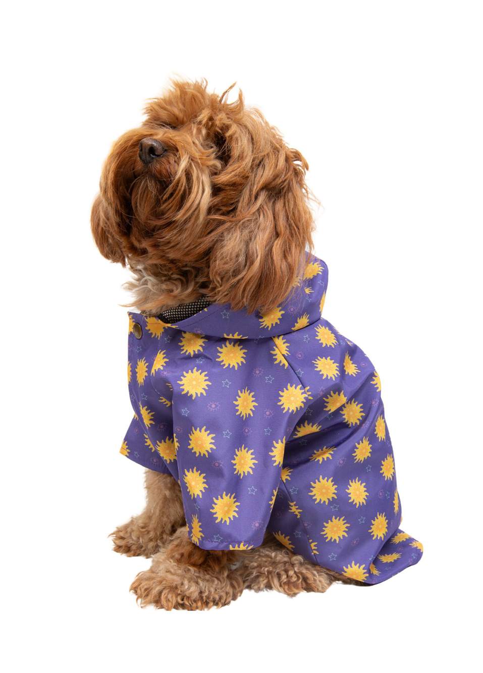 Lucky Charm Mor Küçük Irk Köpek Yağmurluk — Product image 4 of 5