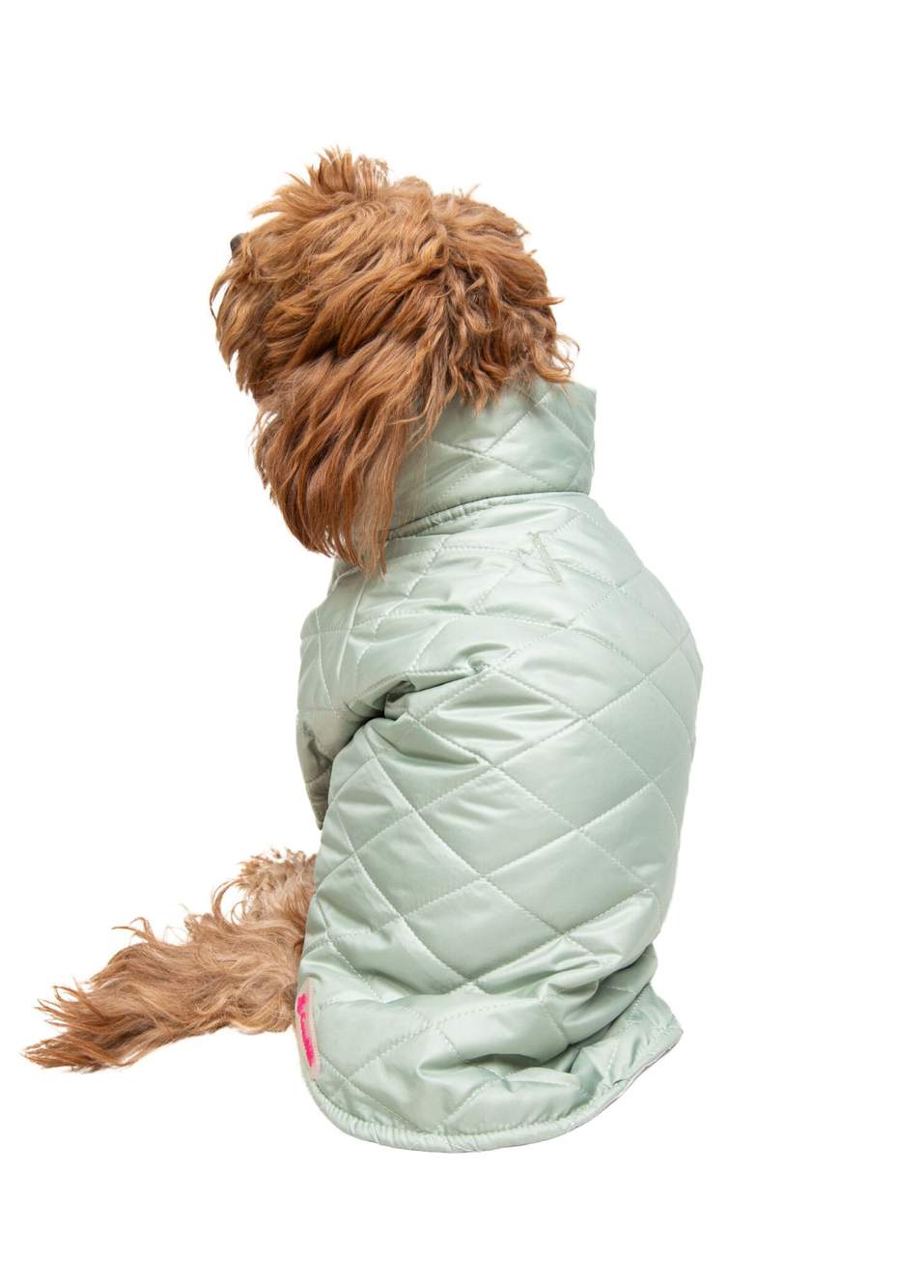 Minty Green Puffer Küçük Irk Köpek Mont — Product image 4 of 5
