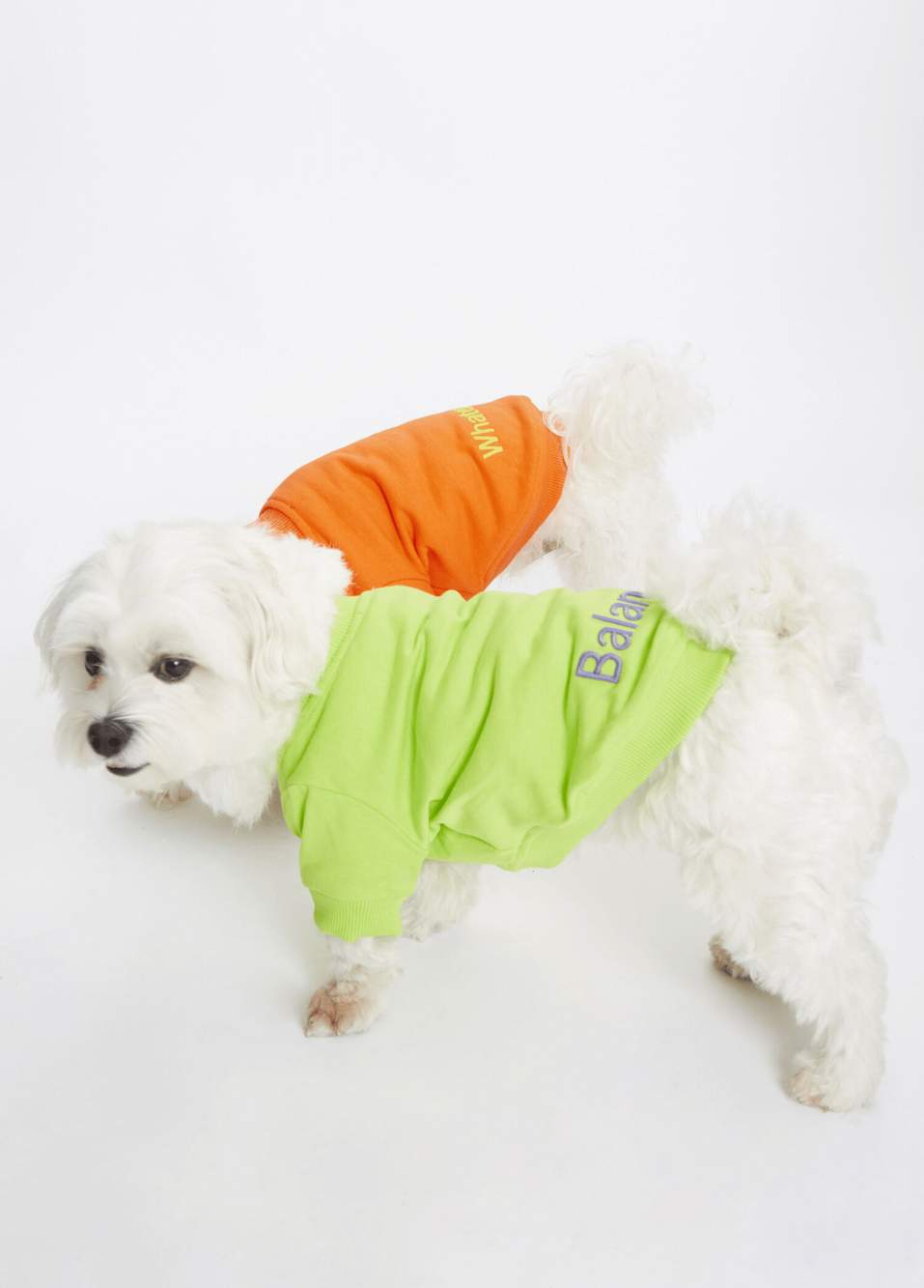 Yeşil Balance Sloganlı Köpek T-shirt — صورة المنتج 5 من 6