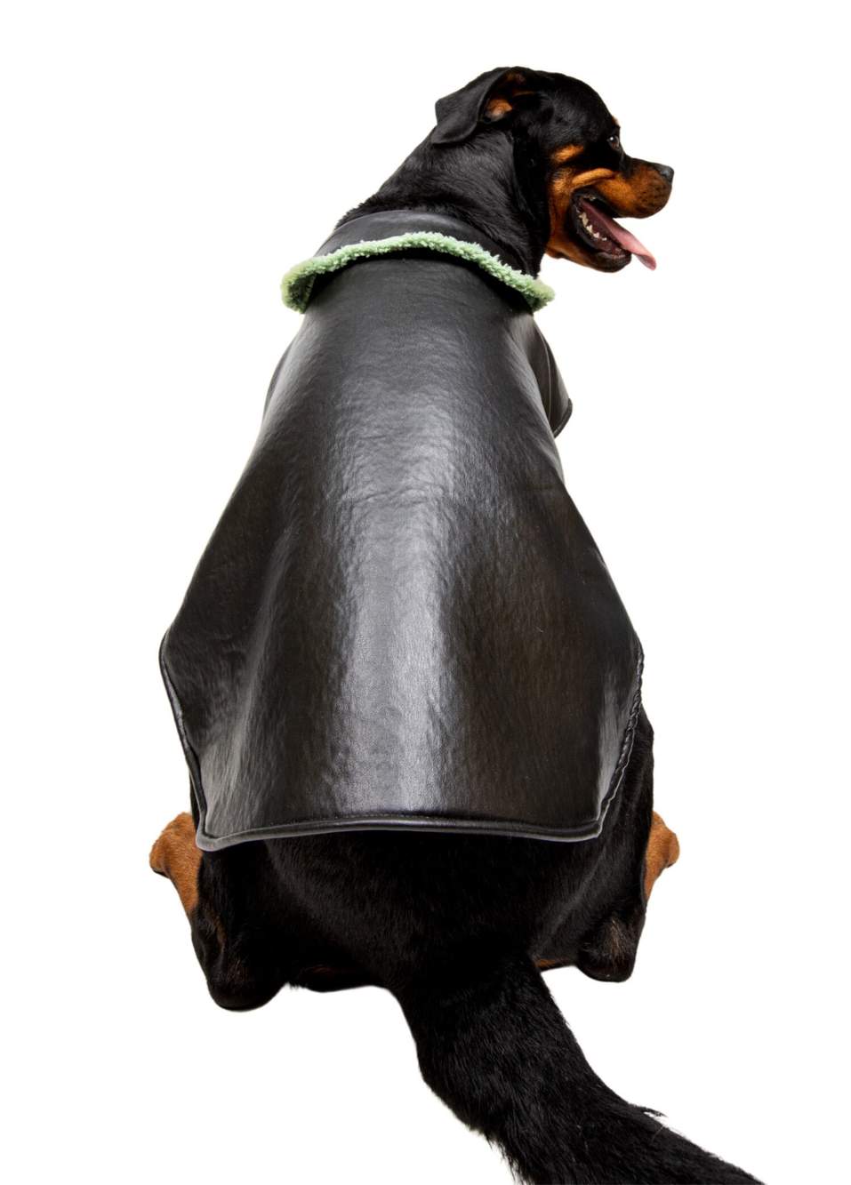 Yeşil Peluş Deri Büyük Irk Köpek Mont — Product image 4 of 5