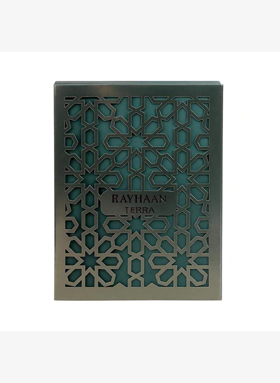 Rayhaan Terra EDP 100 ml Erkek Parfümü — صورة المنتج 3 من 3