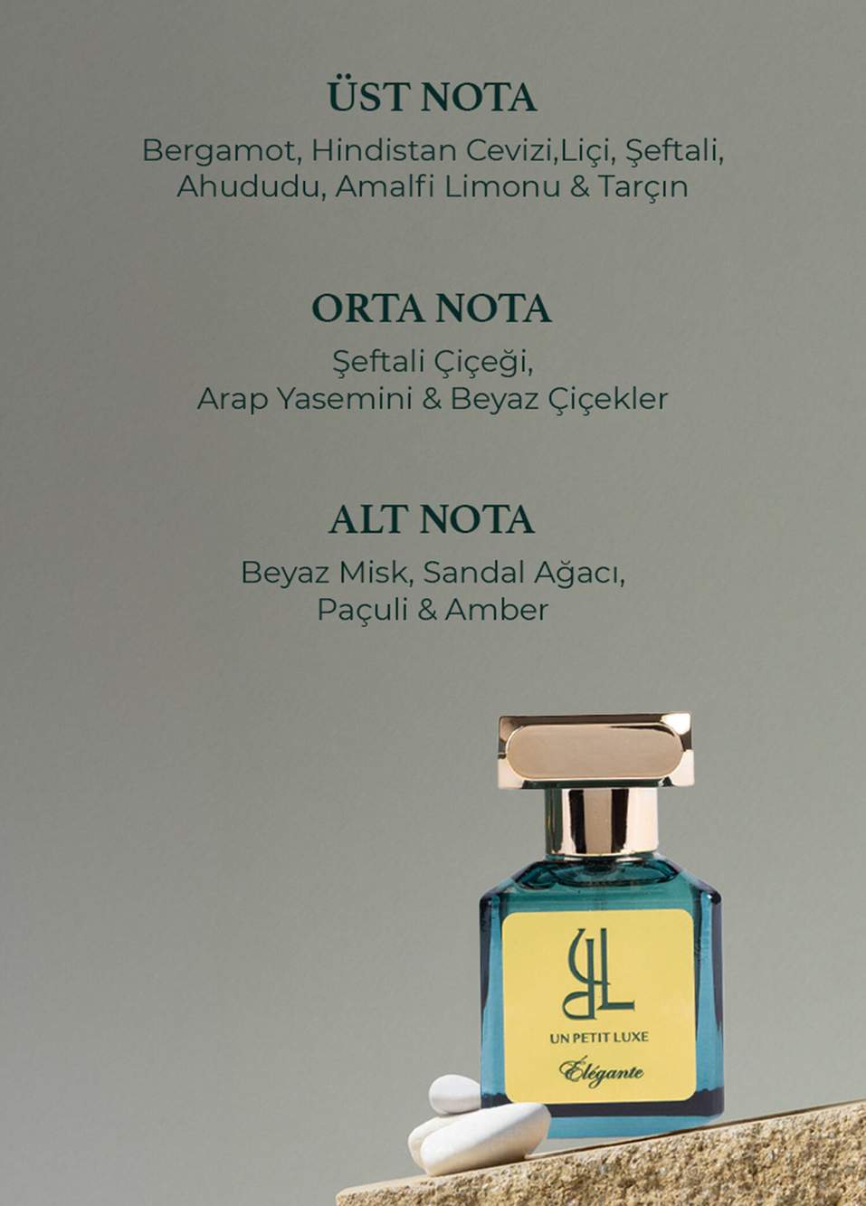 Sincere & Gallant & Elegante Exclusive EDP 50 ml Kadın & Erkek 3'lü Parfüm Seti — صورة المنتج 6 من 6