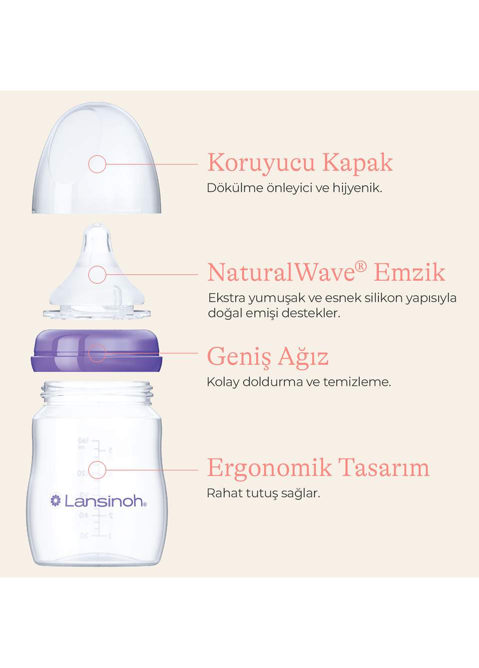 NaturalWave® 1 Ay+ Biberon Emziği Pp 2'li Biberon 160 ml — صورة المنتج 3 من 8