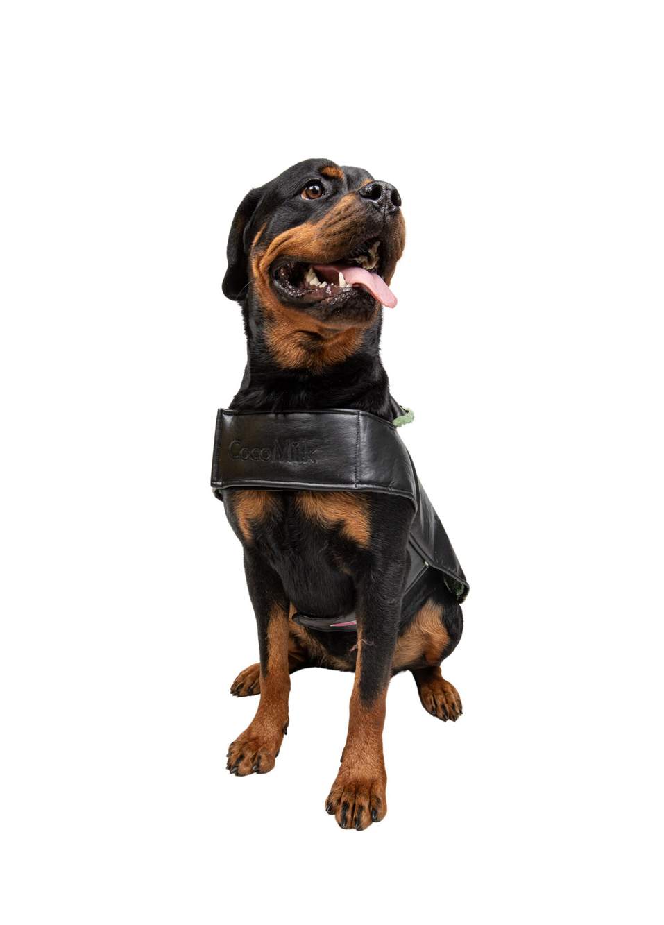Yeşil Peluş Deri Büyük Irk Köpek Mont — Product image 3 of 5