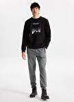 Discovery Expedition D3WM-EA7 Anthracite Male Sweatpant — Product image 5 of 25