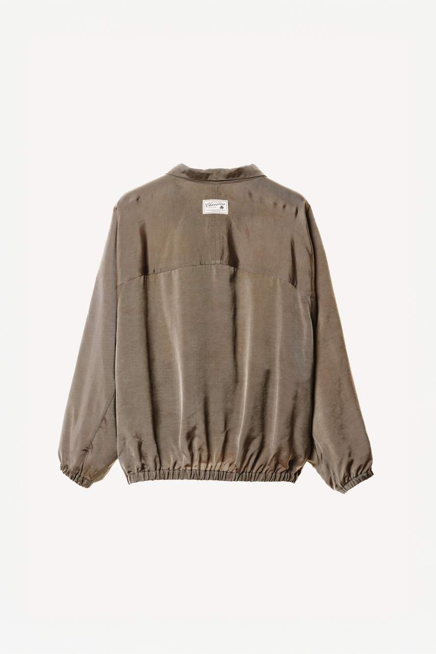 جاكيت OVERSIZE بقصة CUPRO WILLY CHAVARRIA X ZARA — صورة المنتج 5 من 6