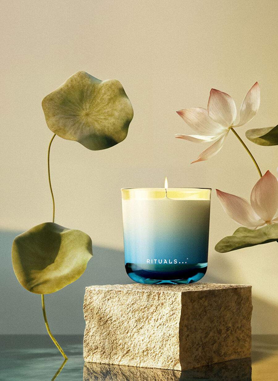 The Ritual of Seshen - Limited edition - Scented candle - 290 g — Product image 4 of 4
