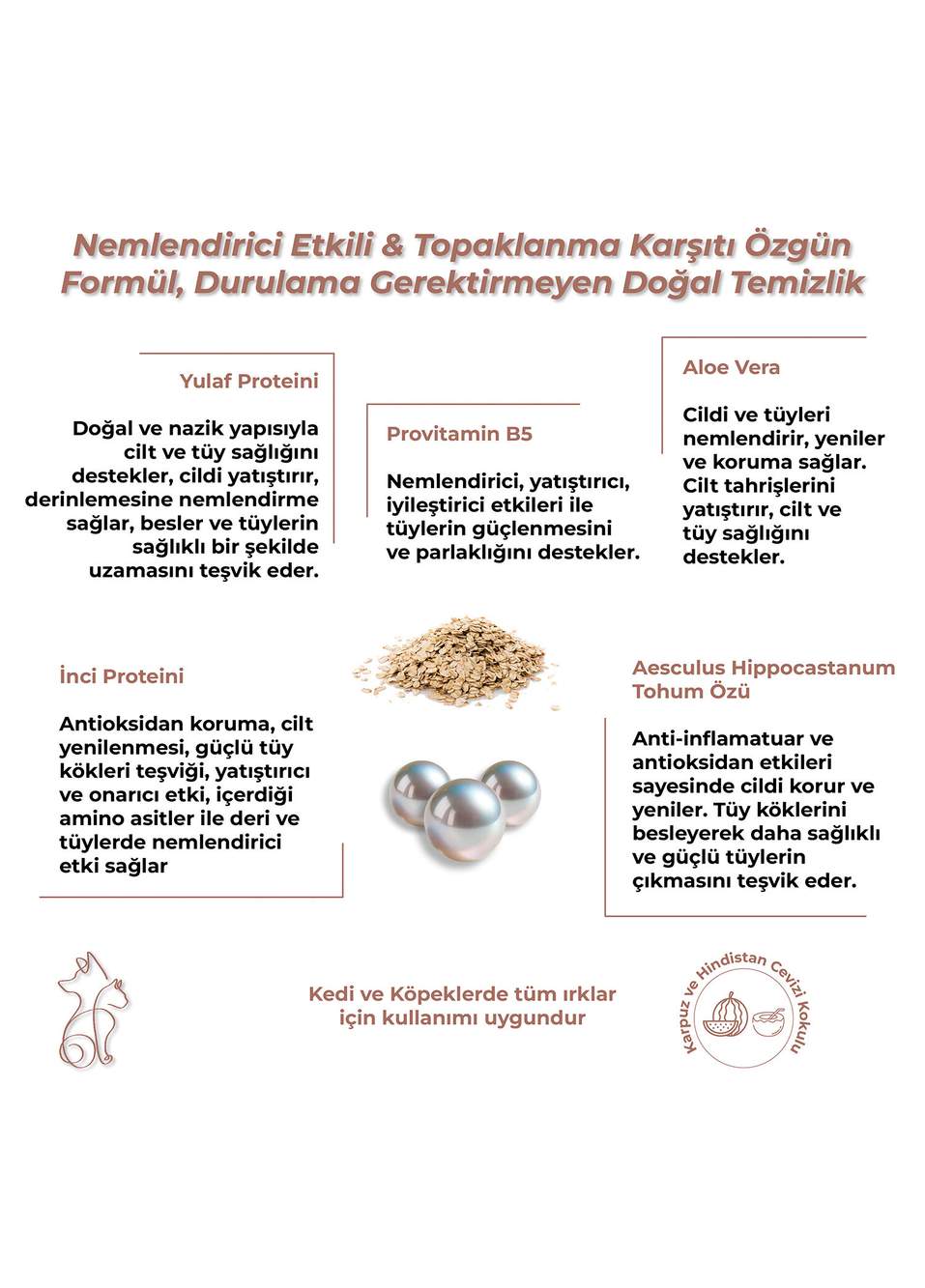 Shampoo Conditioner Organik İçerikli Nemlendirici Durulanmayan Kedi ve Köpek Kuru Köpük Şampuan 200 ml — صورة المنتج 3 من 5