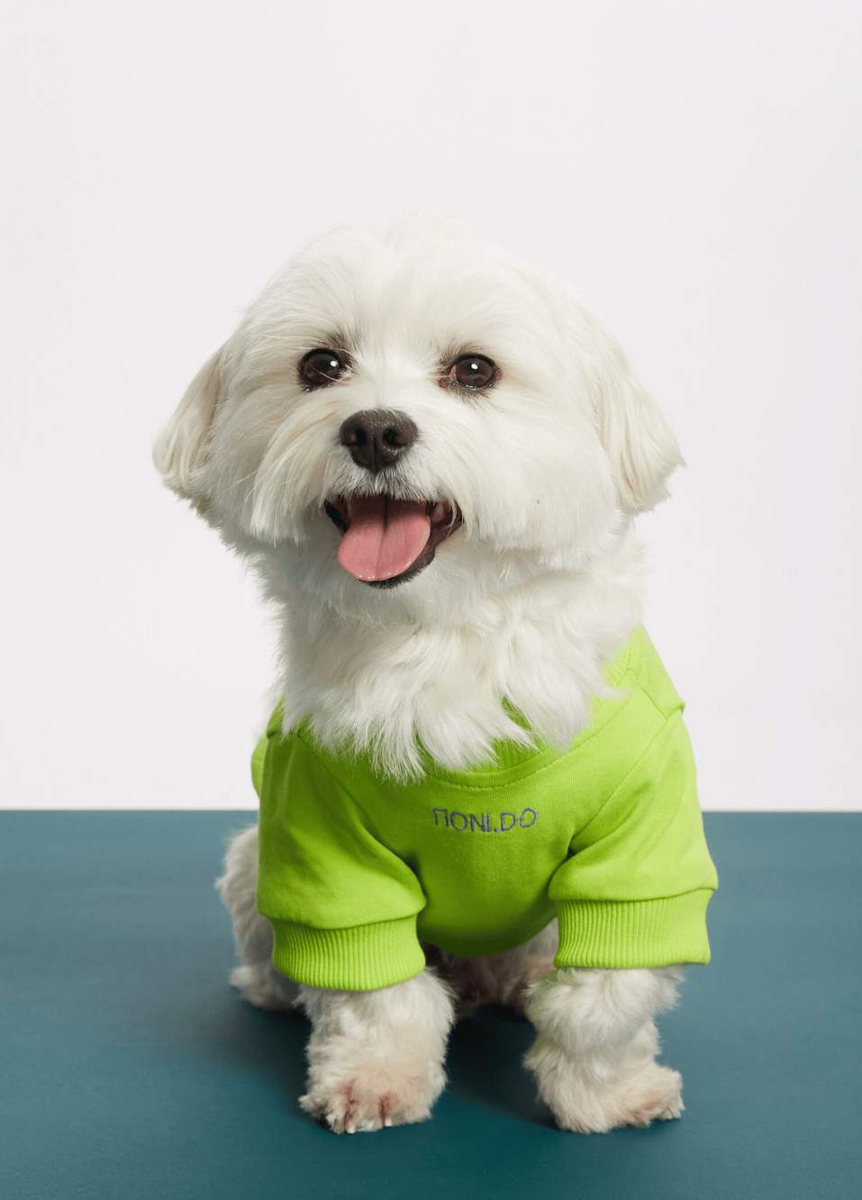 Yeşil Balance Sloganlı Köpek T-shirt — صورة المنتج 3 من 6