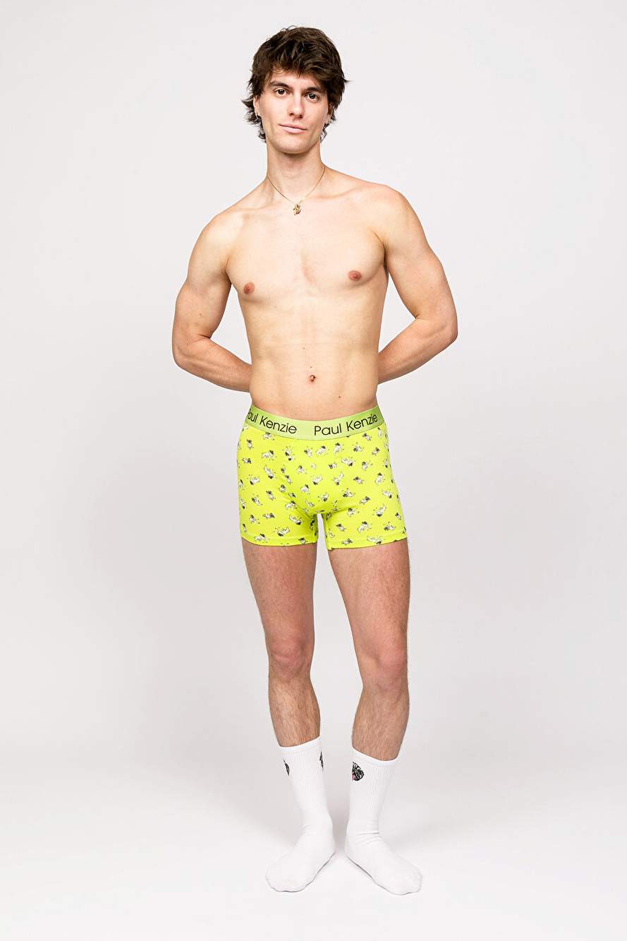 Paul Kenzie x Saving House - Patterned Male Boxer - Dani — Product image 3 of 7