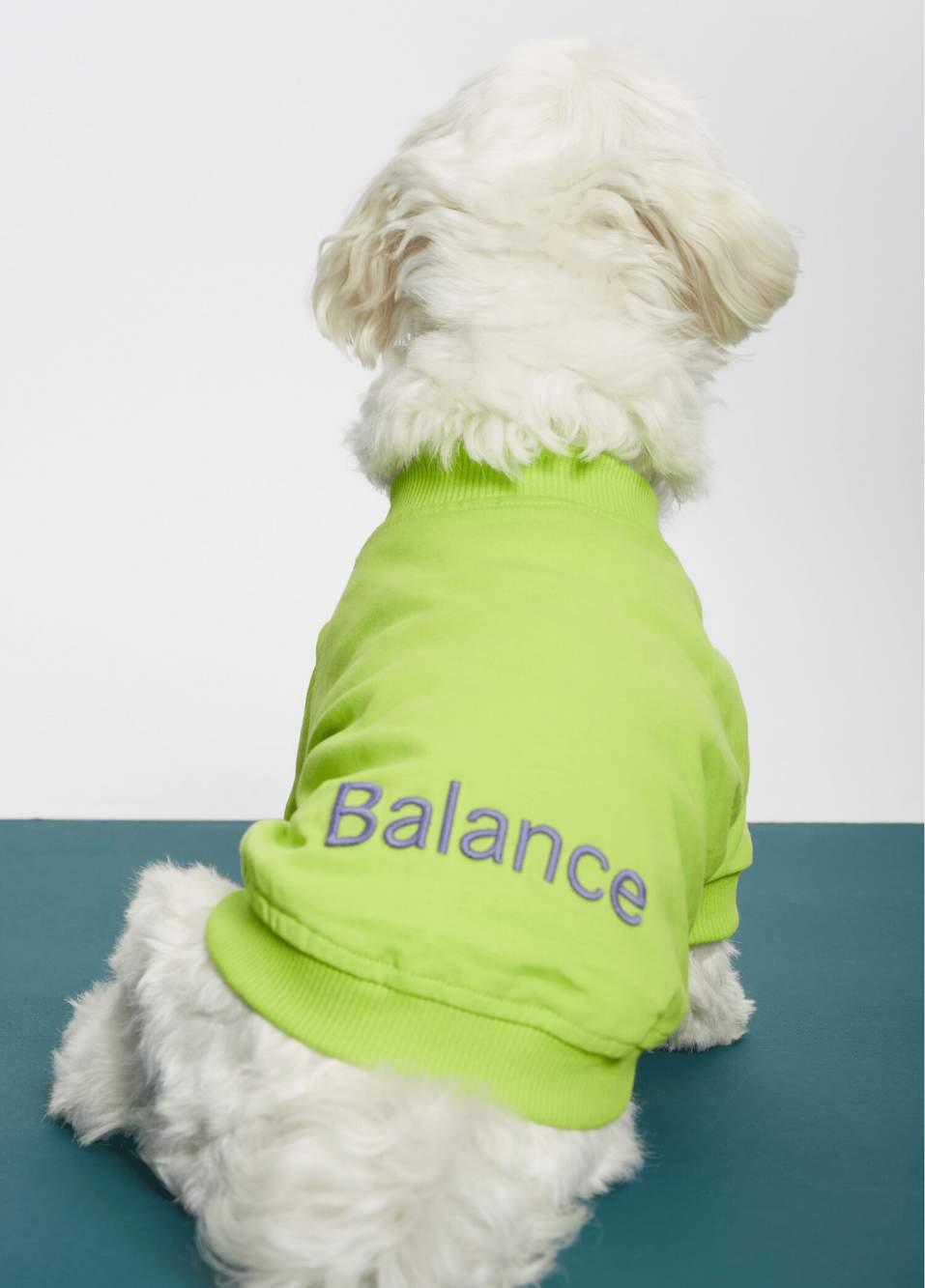 Yeşil Balance Sloganlı Köpek T-shirt — صورة المنتج 4 من 6