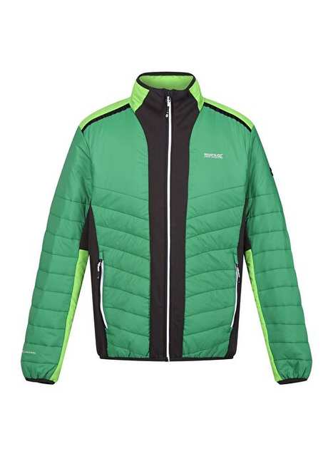 Regatta Halton Vii Men's Jacket Green