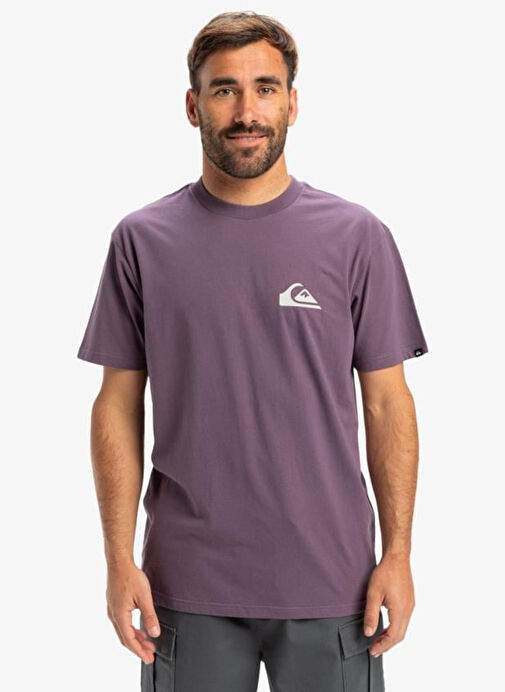 Quiksilver Mor Ev Mn Logo Ss Erkek T Shrt Eqyzt08042 — Product image 5 of 20