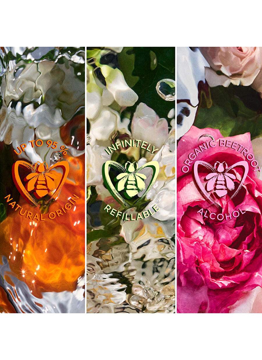 عطر نسائي Guerlain Aqua Allegoria Allegoria SalvaggiaEdt 75 مل — صورة المنتج 4 من 4