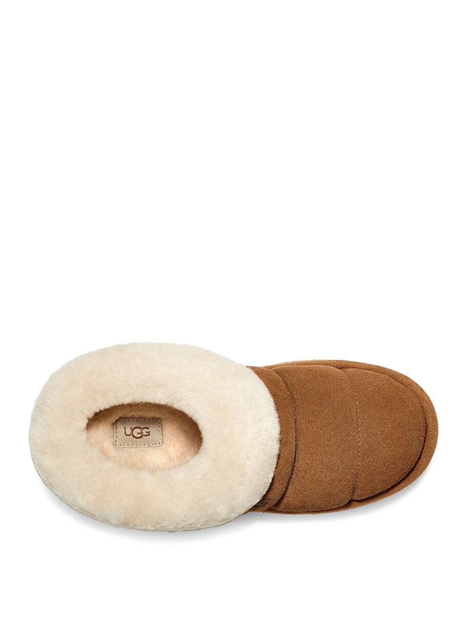 Ugg Taba Kadın Terlik W TAZZLITA 1146390 — Product image 5 of 6