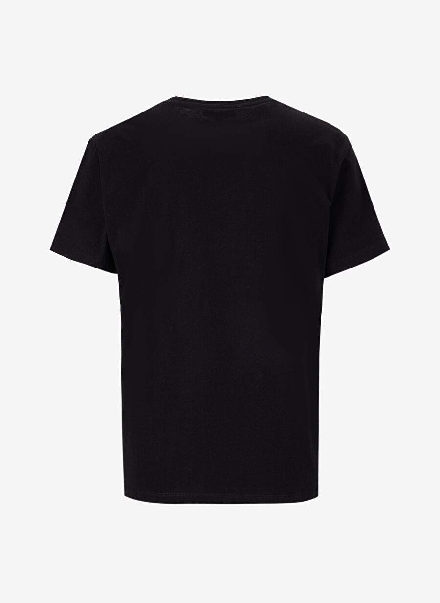 Limon Siyah Kadın Loose Fit Baskılı T-Shirt L5SL-TST5810 — صورة المنتج 31 من 35