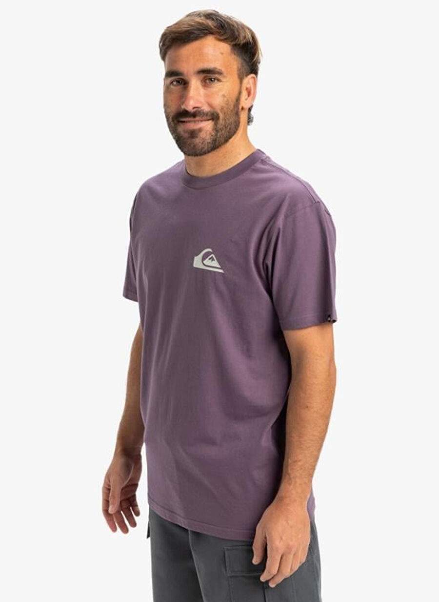 Quiksilver Mor Ev Mn Logo Ss Erkek T Shrt Eqyzt08042 — Product image 6 of 20
